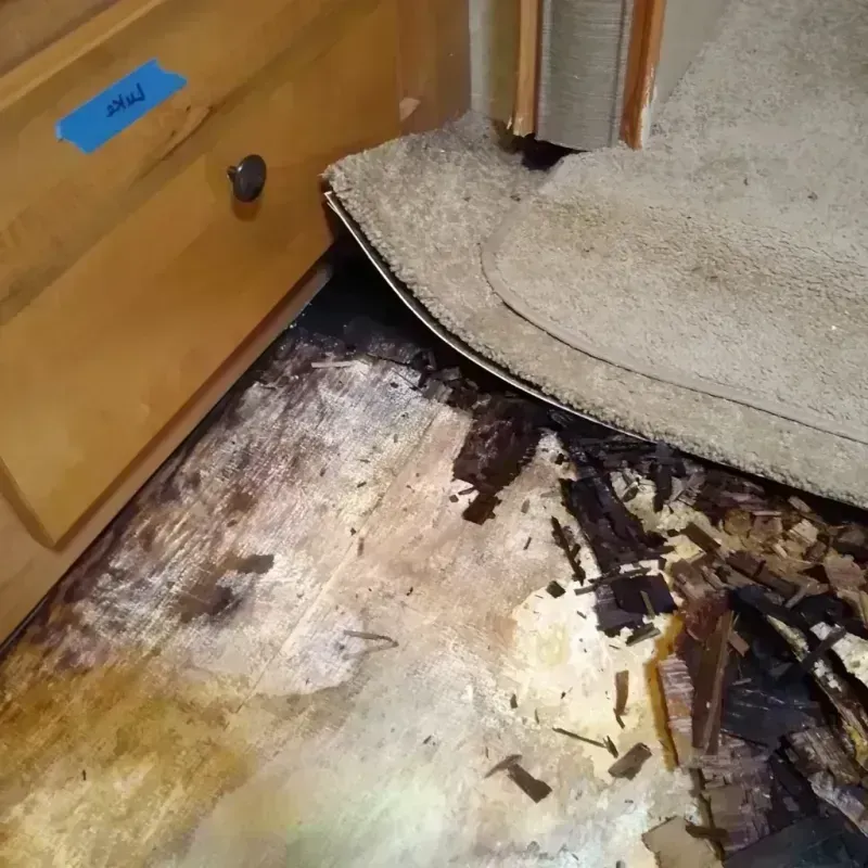 Wood Floor Water Damage in Caroline County, MD